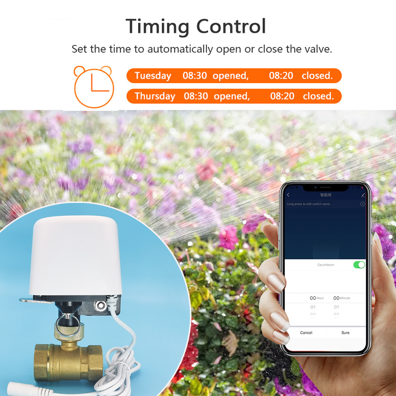 Valvola dell'Acqua WiFi Tuya Z - Smart Garden Hose Timer recensione e prezzo