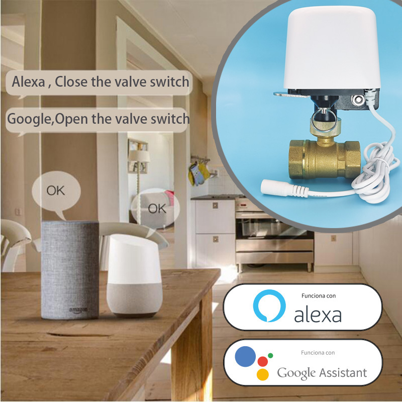 Valvola dell'Acqua WiFi Tuya Z - Smart Garden Hose Timer recensione e prezzo