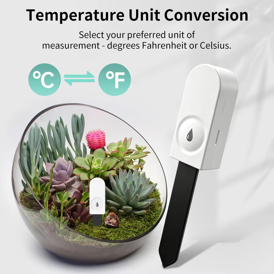 Tester del Suolo Zigbee Multif - Smart Soil Sensor recensione e prezzo