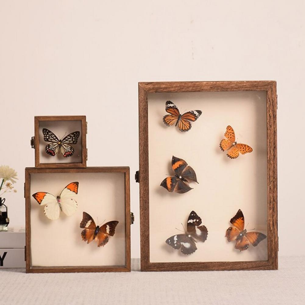 Vetrina in legno Scatola per o - Insect Hotel Wood recensione e prezzo