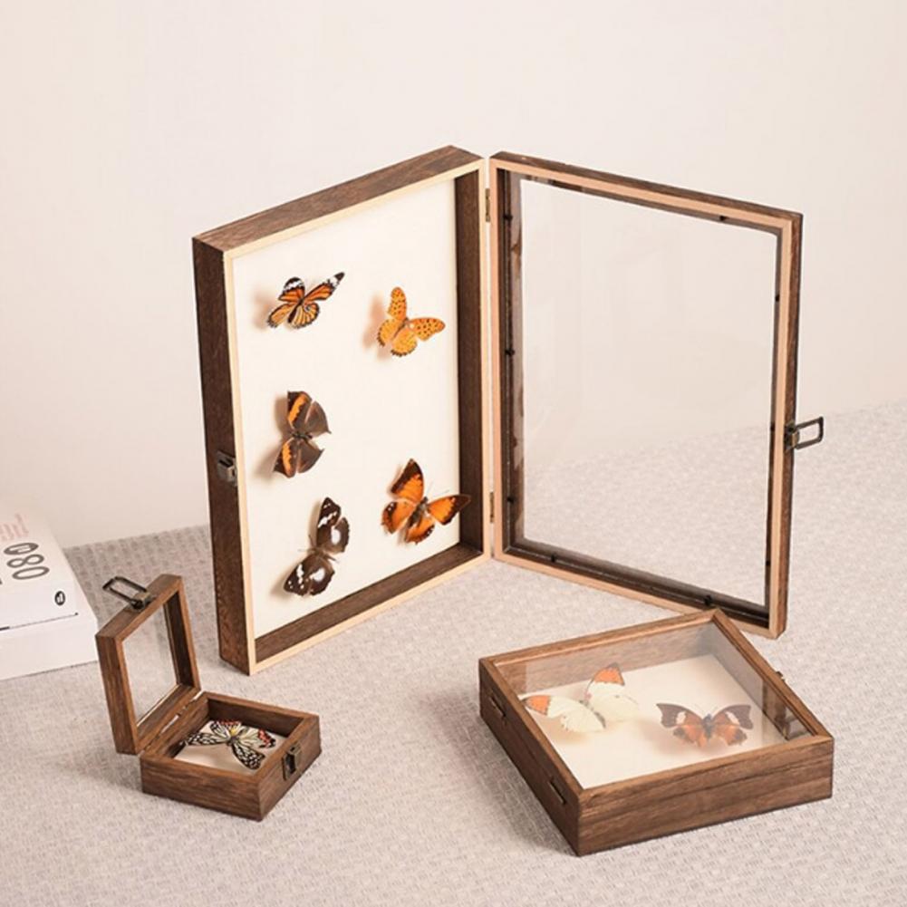 Vetrina in legno Scatola per o - Insect Hotel Wood recensione e prezzo