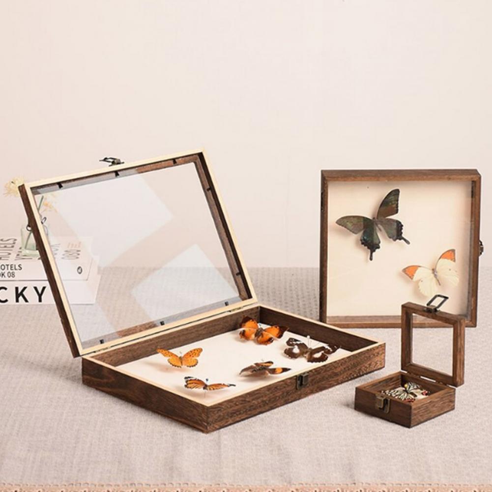 Vetrina in legno Scatola per o - Insect Hotel Wood recensione e prezzo