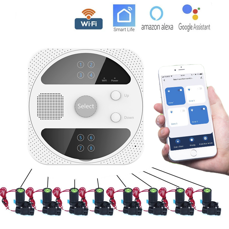 WIFI Timer irrigazione intelli - Smart Garden Iot recensione e prezzo