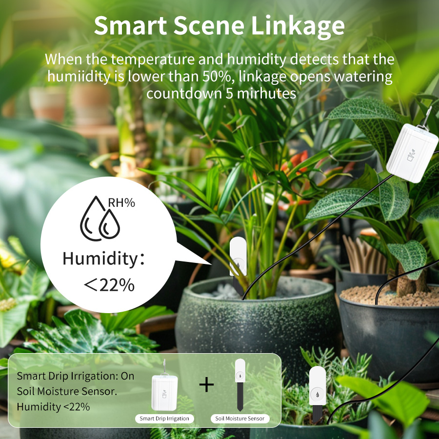 Tester intelligente per il suo - Smart Soil Sensor recensione e prezzo