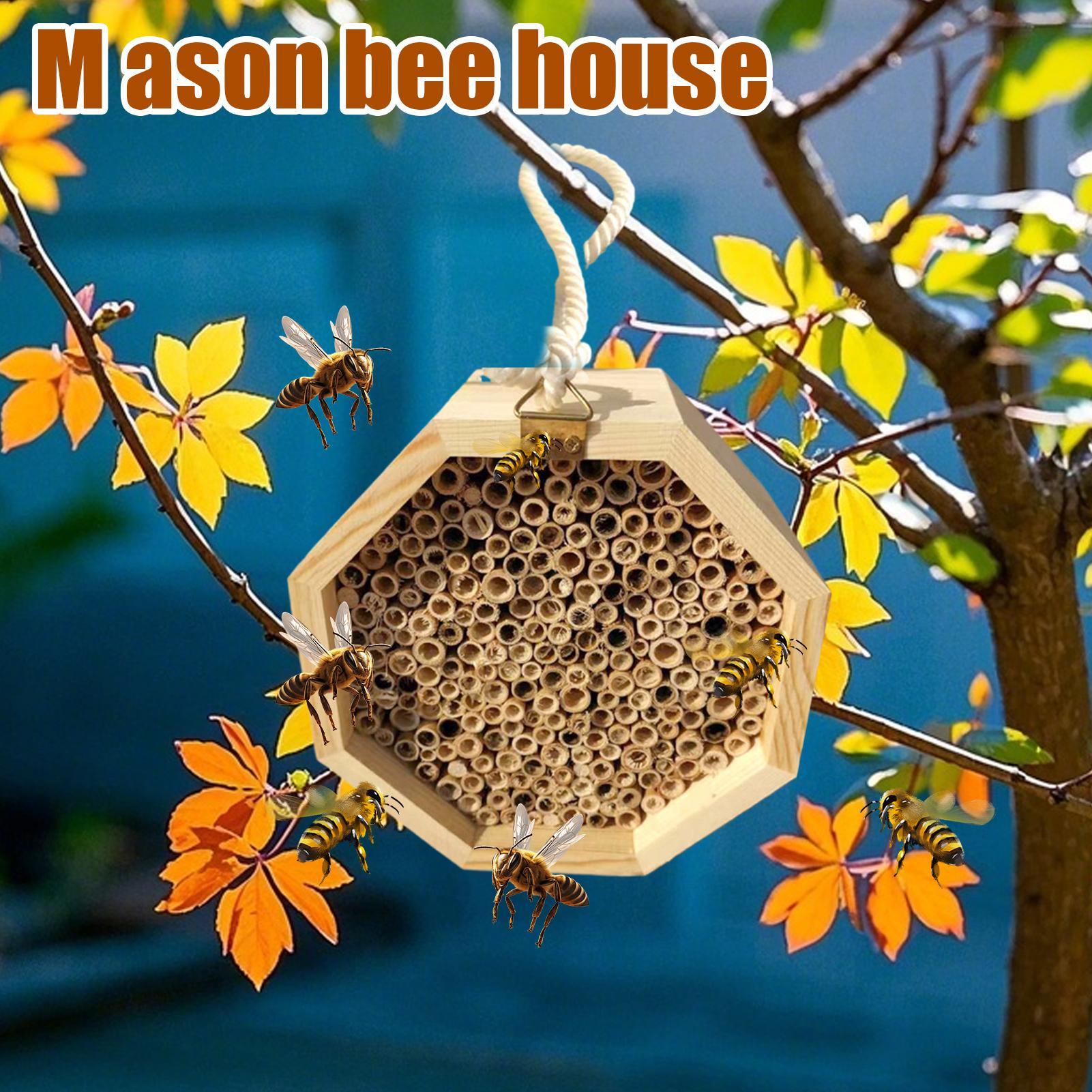 Casetta in legno per insetti,  - Insect Hotel Wood recensione e prezzo