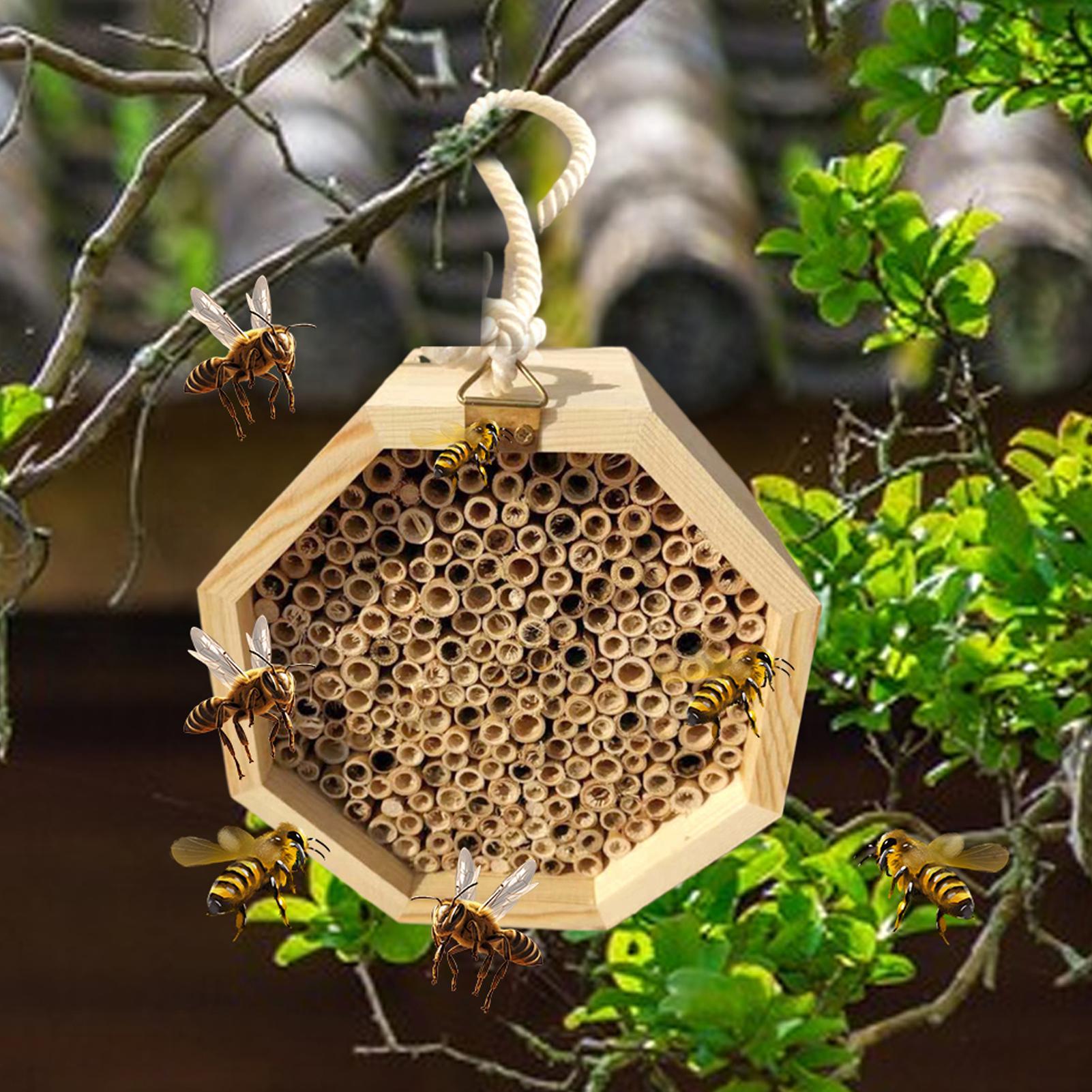 Casetta in legno per insetti,  - Insect Hotel Wood recensione e prezzo